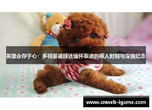 英雄永存于心:多特蒙德球迷缅怀泰迪的感人时刻与深情纪念 英雄永存于心:多特蒙德球迷缅怀泰迪的感人时刻与深情纪念