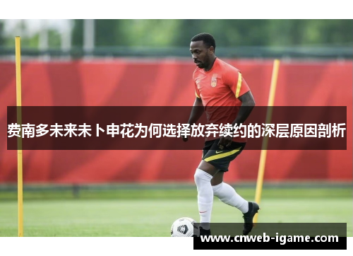 费南多未来未卜申花为何选择放弃续约的深层原因剖析