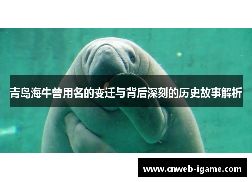 青岛海牛曾用名的变迁与背后深刻的历史故事解析 青岛海牛曾用名的变迁与背后深刻的历史故事解析